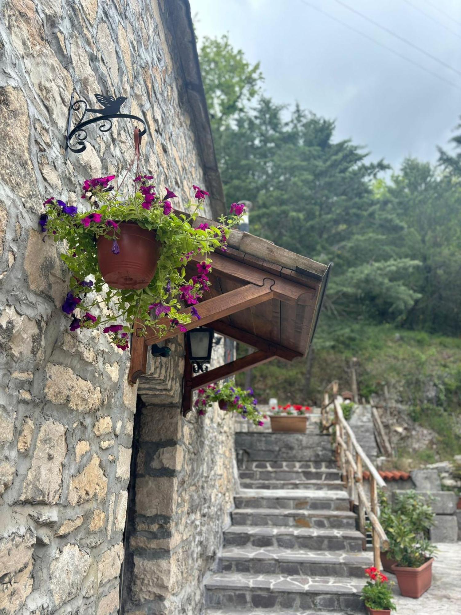 Il Caminetto Apartment Carpinone Екстериор снимка