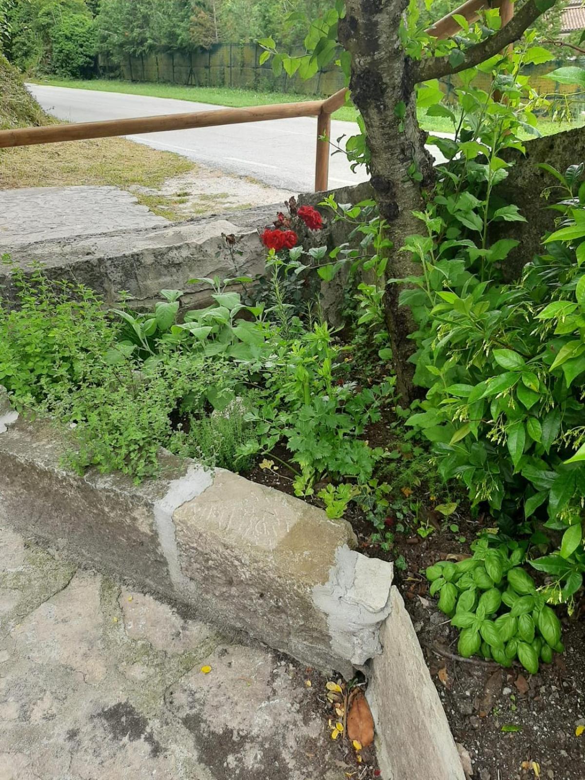 Il Caminetto Apartment Carpinone Екстериор снимка