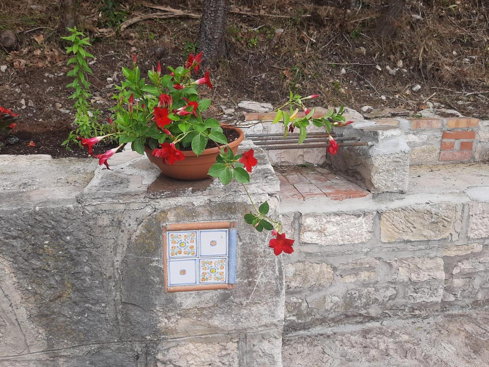 Il Caminetto Apartment Carpinone Екстериор снимка